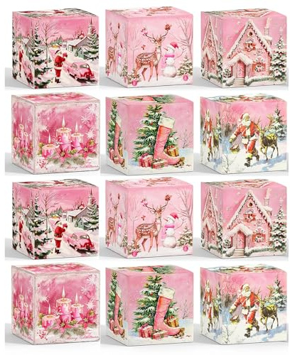 Qaixwuyi 12 cajas de regalo de Navidad, caja de galletas, calendario de Adviento para rellenar, calendario de Navidad, calendario de Adviento, para panadería, chocolate, caja de bombones, embalaje