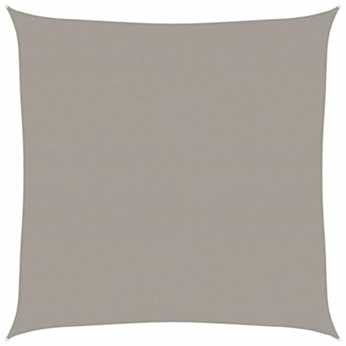 vidaXL Vela Parasole 160 g/m² Quadrata Grigio Chiaro 5x5 m in HDPE