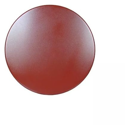 DISCO ACCIAIO LISCIA MASSETTI Ø600MM PER MONOSPAZZOLA RAIMONDI - ART. 214