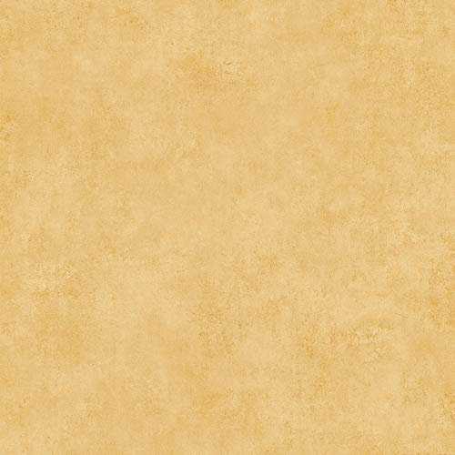 BRICOFLOR Papier peint intissé | Papier peint uni - Papier peint chambre - Jaune, Orange / Terre cuite | Taille 10,05 x 0,53 m = 5.33 m² BR373701P669SUA
