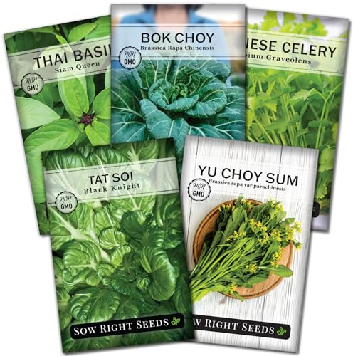 Sow Right Seeds - Asian Greens Seed Collection for Planting - Includes Thai Basil, Bok Choy, Chinese Celery, Green Shiso & Tat SOI - Non-GMO Heirloom Varieties to Plant and Grow Indoors or Outdoors