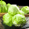 1000 Piezas Cama Elevada Con Semillas De Lechuga - Lactuca Sativa - Semillas De Lechuga Cortadas, Semillas De Hortalizas De Invierno Semillas De Hortalizas Recogiendo Lechuga, Semillas