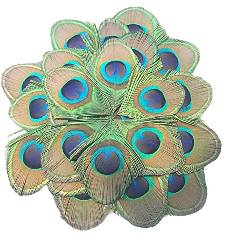 MWOOT 20 Pièces Plumes de Paon Naturelles, Plumes Decoratives pour Artisanat Bricolage, Plumes Vertes pour DIY Carnaval Fête Costume de Mascarade Accessoires de Cheveux Vintage Décoration