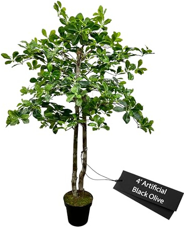 Cypress & Alabaster Handmade 4ft Italian Black Olive Leaf Artificial Tree with Ethically Sourced Real Wood Trunks, Hypoallergenic, 4-Foot, Green
