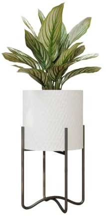 EverNest Claire Mid-Century Modern White Plant Pot with Ambrose Stand, SelectBase, Indoor Plant Pot, Bohemian Style, Minimalist Plant Home Décor (Medium, Black)