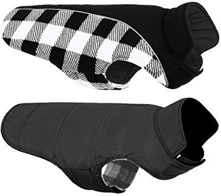 CITÉTOILE Warme Hundemantel Winter mit Bauchschutz Schwarz S