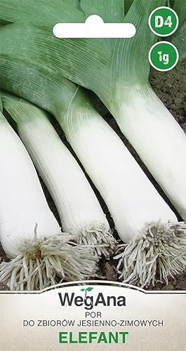 WegAna Semi di Porro 1g Porro Elefante Robusto Semi di Ortaggi, Semi di Ortaggi Semi di Coltivazione per Orto in Serra