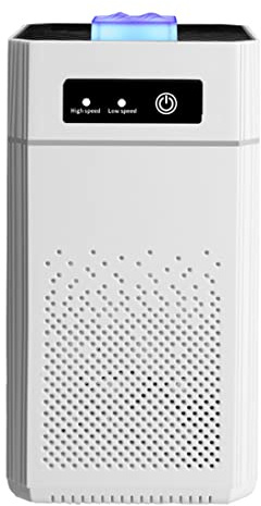Wrtysully Purificador de Aire PortáTil Ionizador Generador de Iones Negativos EliminacióN de Olores de Humo Filtro Hepa Ambientador de Coche
