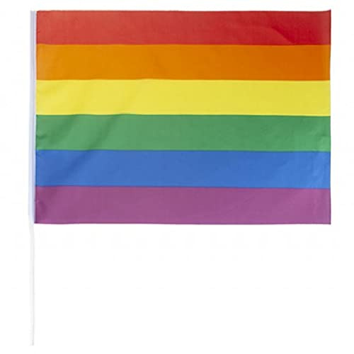 Drapeau de la fierté LGBT extra large – Agitant les couleurs vives arc-en-ciel festival fête