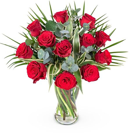 12 Red Roses - Fresh Flowers - Birthday, Anniversary, Get Well, Thank You, Occasion Flower - Fresh Cut Floral Arrangement for Home Décor, Gifts, Weddings, Sympathy, Celebrations, and Special Events