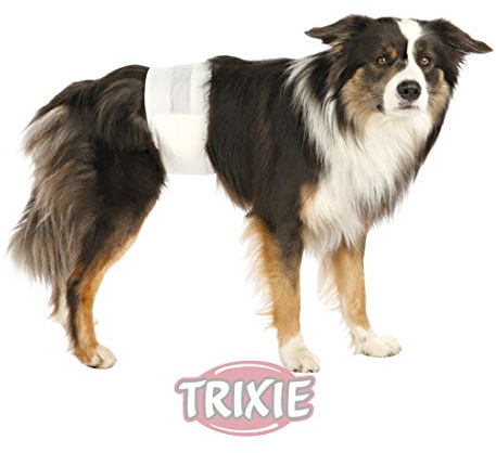 TRIXIE 2X Rüdenwindeln, Hundewindeln - Einwegwindeln, 12 Stück (M-L, 46-60 cm)