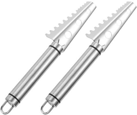 GRIRIW 2pezzi Raschietto per Squame Inossidabile Strumento per Design per La Facile e Utilizzare