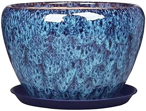 HDMOZUYT Keramik Blumentöpfe Extra Große Pfau Blaue Keramik Blumentopf Chlorophytum Topf Sukkulent Pflanzgefäße Bonsai Pflanzentöpfe mit Abflussloch Untertasse (Blue 18.4cm)