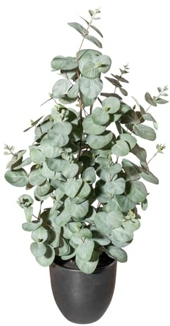 CREATIV green künstliche Eukalyptus Pflanze 60cm im Topf mit Erde I künstliche naturgetreue und hochwertige Dekopflanze für Innen