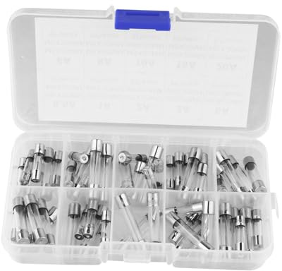 Glassicherung 5x20mm 60 Stück 0, 5a-20a Schnellschmelz Sortiment | 6x30mm und 5x20mm Ausführung, 10 Werte von 0, 5a bis 20a, Kunststoffbox