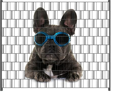 Wallario Zaun Sichtschutz Windschutz für EIN- und Doppelstabmattenzäune in der Größe Breite 2,50m x Höhe 2,00m, Motiv: Cooler Hund mit Sonnenbrille in blau - Französische Bulldogge