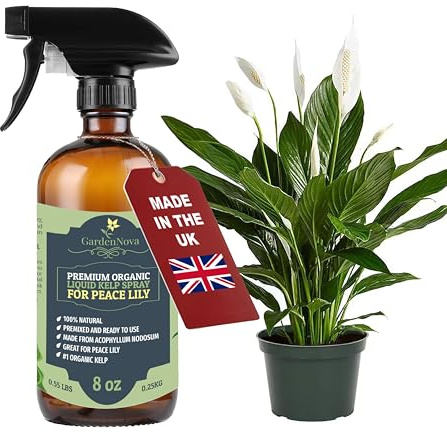 GARDENNOVA Professional Organic Liquid Kelp Spray for Peace Lily Plants - 8 oz - Ready-to-Use Fully Organic Seaweed & Kelp Fertilizer Mist