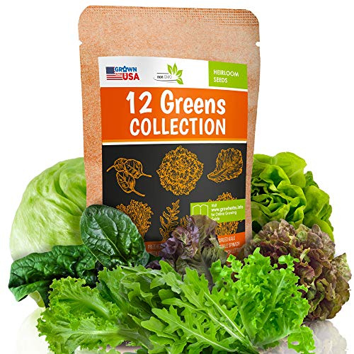 12 Lettuce and Greens Seed Pack - Heirloom and Non GMO, Grown in USA - Indoor or Outdoor Garden - Iceberg, Arugula, Kale, Spinach, Bibb, Butter, Green Oakleaf, Giant Collard, Red Romaine