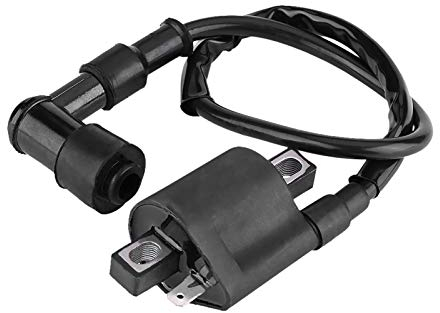 Watris Veiyi Motorrad Zündspule, ATV Zündspule Ersatz, Box DC Ignition Zündspule für 150CC 200CC 250CC ATV Roller Moped Go-Kart