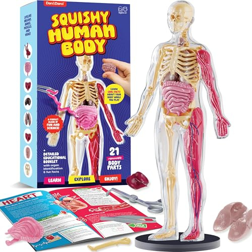 Human Anatomy Squishy Body Model - STEM Science Kits for Kids Ages 8 Years