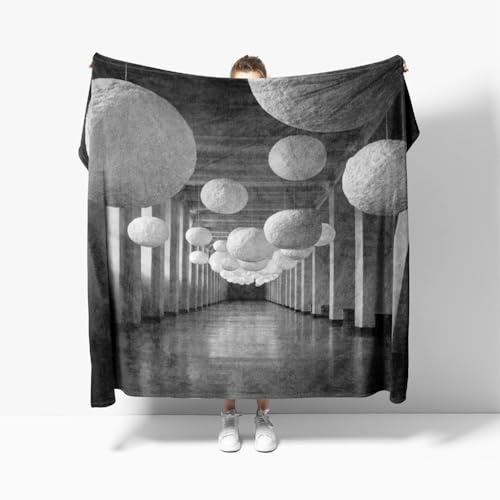 Genérico Cobija y Colchas, DiseñO de Artes Visuales Cálida y Mullida, Frazada de Microfibra Mantas para Sofa, Pintura Abstracta Manta de Franela Sherpa Gruesa de Invierno Blanket L 100x130 cm