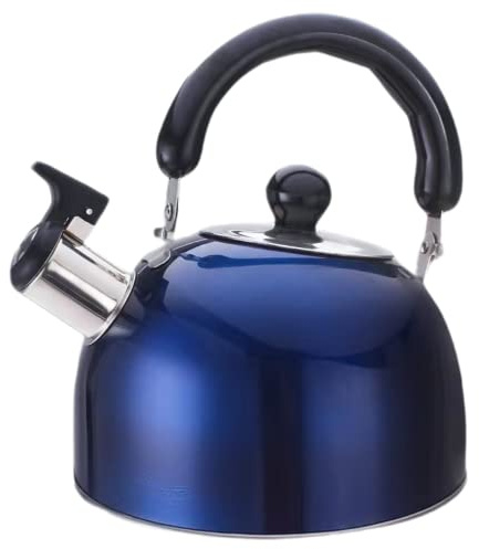 TIECHUINIUB Bouilloire sifflante en acier inoxydable pour cuisinière à gaz - Bleu - 1 l
