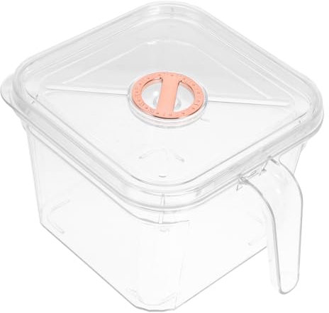 VERDANVERSE Plastikfischbehälter Mit Griff Und Deckel Kleines Fischglas Aus Kunststoff Transparent Praktisches Würfelterrarium Für Schreibtisch