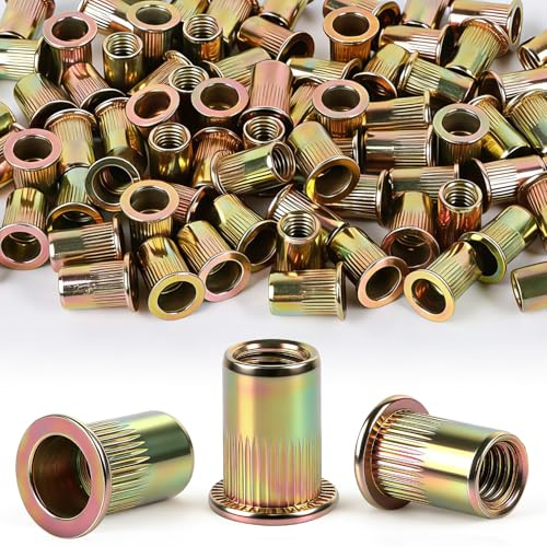 YIYICO Ecrou a Sertir Écrou Aveugle Rivet Fileté en Acier M8 80Pcs | Écrous à Sertir en Acier au Carbone et Plaqué au Zinc Rivet Écrou Kit Emballé en Boîtier Plastique