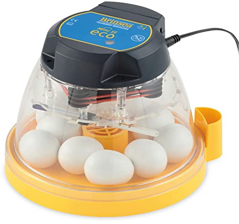 FINCA CASAREJO Incubadora Brinsea Mini II Eco pequeña para incubar 10 Huevos de gallina o 24 de codorniz. También Funciona como nacedora magnífico Rendimiento
