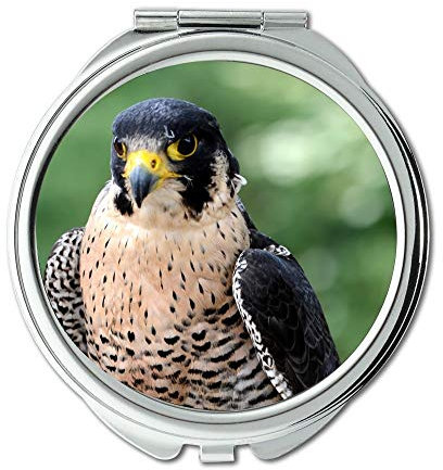 YENDOSTEEN Spiegel, Schminkspiegel, Eule Augen Tattoo Wanderfalke Falco Peregrinus Wanderfalke, Taschenspiegel, tragbarer Spiegel