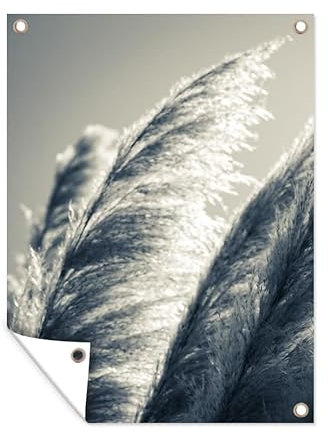 MuchoWow Outdoor-Poster Poster Wanddeko draußen Deko Garten Gartenposter 60x80 cm Pampasgras - Schwarz - Weiß - Natur