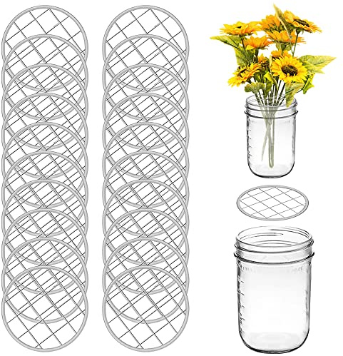 DLAND 20 Pieces Mason Jar Flower Frog Holder Lid Arrangement Flower Insert Lid Grid Organizer Lid Metal with Square Grids for Regular Standard Mouth Canning Jar.