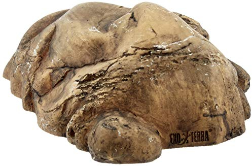 Exo Terra Grotta per rettili