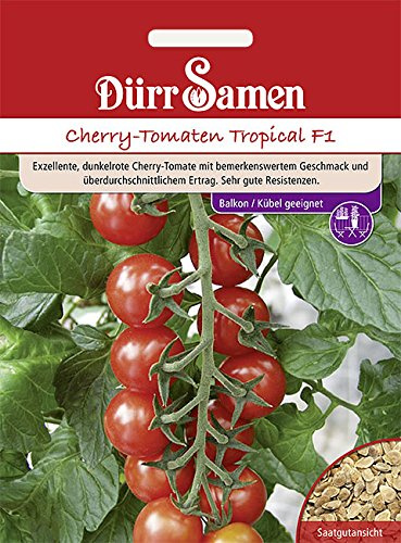 Dürr-Samen - Kirsch-Tomaten Tropical F1 Saatgut