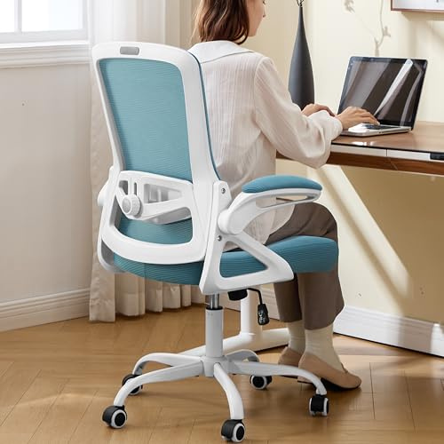 Nexthro Ergonomic Office Chair Desk Chair with Adjustable Lumbar Support