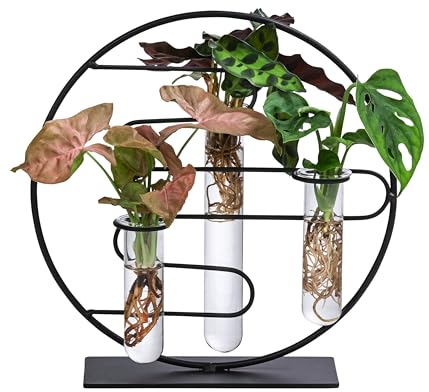 Dehner Waterplant Set Dubai, 1x Fensterblatt, 1x Balsamapfel, 1x Purpurtute, Wasserpflanze in Reagenzgläsern inkl. Metallgestell, Ø 3 cm, Höhe 27 cm, Zimmerpflanze