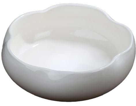 SUIOPPYUW Pot en céramique pour narcisses, nénuphars, pour Lotus d'intérieur, avec mousses et Autres espèces hydroponiques, tapez+3