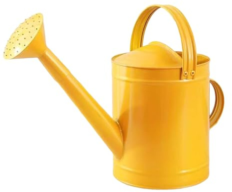 LeeQinersw Annaffiatoio in Metallo a Bocca Lunga da 4 Litri con Manico Ergonomico per Piante da Appartamento, d'oro
