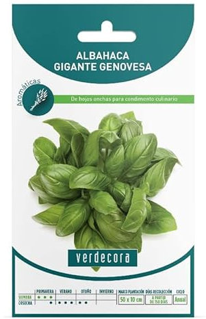 SEMILLAS ALBAHACA GIGANTE GENOVESA VERDECORA