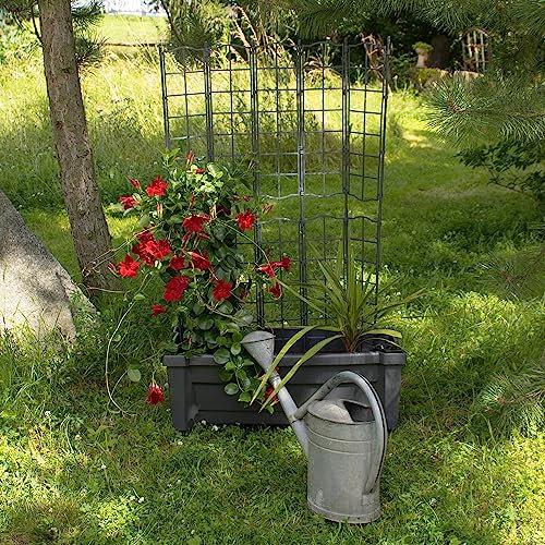 NYVI Pflanzkasten mit Rankgitter NYVIGreen 79x35x135 cm 42 Liter mit Bewässerungssystem Anthrazit - Pflanzkübel Spalier aus wetterfestem & recyceltem Kunststoff - Pflegeleicht, Montage ohne Werkzeug
