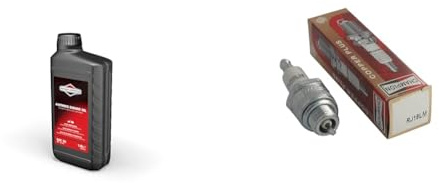 Briggs & Stratton 100007E Huile Moteur SAE 30, 1.0 litre & CHAMPION - Bougie D'Allumage CHAMPION RJ19LM - Durable & Fiable - Haute Qualité