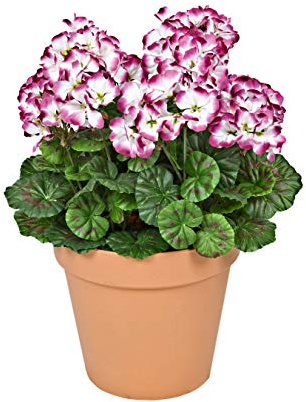 GreenBrokers, Jardinière en Terre Cuite., 45cm