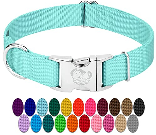 Country Brook Petz - Premium Nylon Dog Collar with Metal Buckle for Small Medium Large Breeds - 10+ Cool Colors (Medium, 3/4 Inch, Light Cyan)