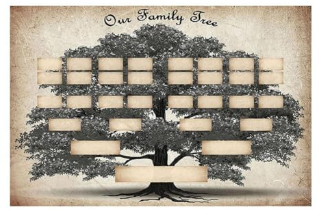 Stammbaum-Poster, 6 Generation, Stammbaum-Diagramm zum Ausfüllen, 39 x 60 cm Diagramme, befüllbar, personalisierbar, Ahnen-Genealogie