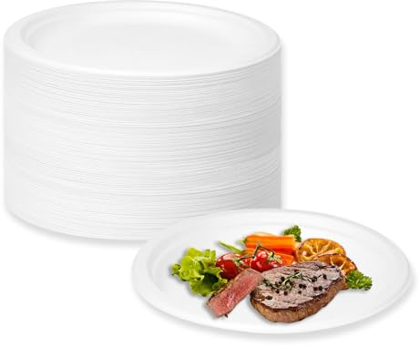LDFDRT Pappteller 100 Stück Einweggeschirr Zuckerrohr Partyteller Zuckerrohrfaser Rund Geschirr Zuckerrohrteller(Weiß, 22,8cm)