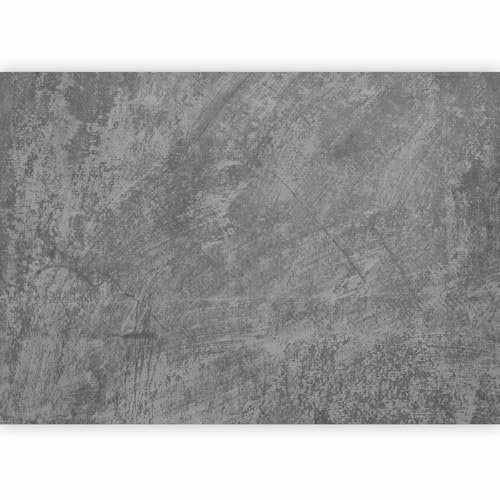 murando - Papier Peint Panoramique Intissé Salon, Industriel, 350x256 cm | Fabrication EU, Tapisserie Murales Papier Peint, Revêtement Mural, Papiers Peints, Grand Poster Mural, Nature, Décoration