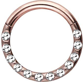PIERCINGLINE Chirurgenstahl Segmentring Clicker | Kristalle + EPOXY Schicht | Piercing für Septum Tragus Helix | Farb & Größenauswahl