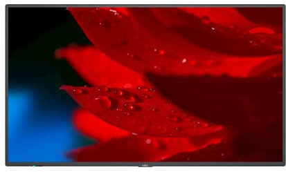 NEC MultiSync MA551 55