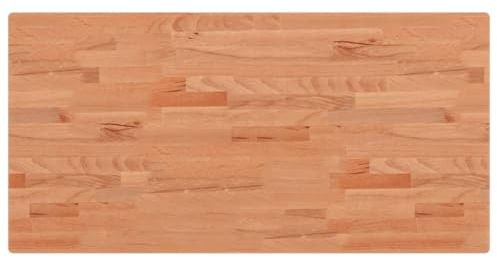 vidaXL Tischplatte, Holzplatte Holztischplatte Rechteckig, Ersatzplatte Platte für Beistelltisch Bartisch, Massivholztischplatte Schreibtischplatte, 100x50x2,5 cm Massivholz Buche