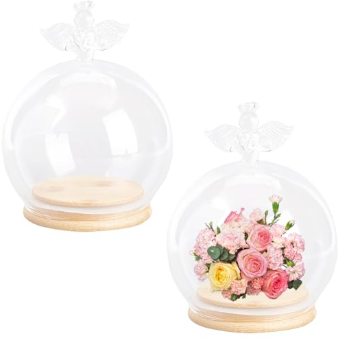 SUNNYCLUE Campana di Vetro Angelo Cloche Mini Campana di Vetro Decorativa A Cupola con Base In Legno Bottiglie di Vetro Globo Cloche Vuote per La Casa Bomboniere Piante Nuziali Regalo Artigianato Fai-